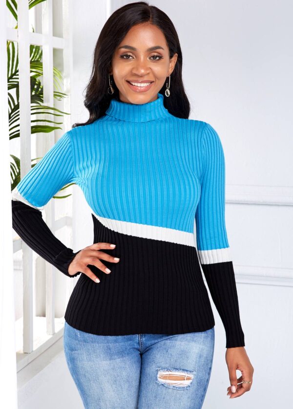 Long Sleeve Turtleneck Contrast Sweater